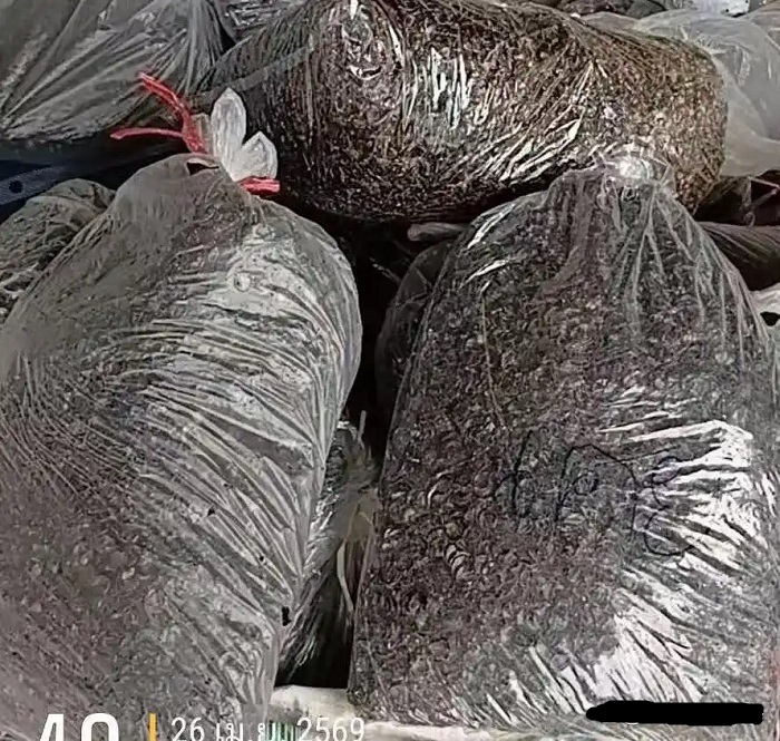印尼中药材进口海运天津港清关货运物流